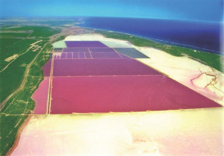 D. Salina Farm - Whyalla Australia