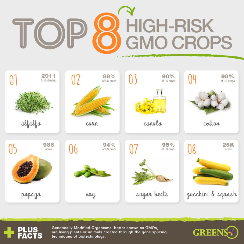 gmo, gmo foods, high risk gmo, non gmo, organic